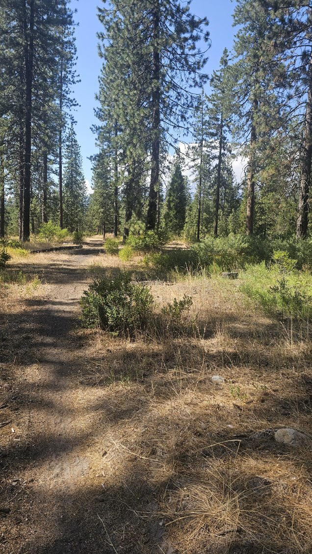 0 Truck Village Road, Mount Shasta, CA for Sale