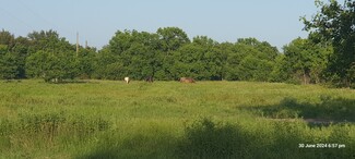 Damon, TX Agricultural Land - 28826 FM 1462 Rd