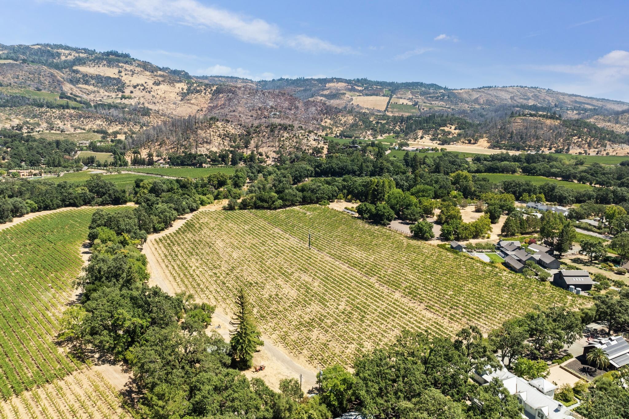 1090 Bale Ln, Calistoga, CA for Sale