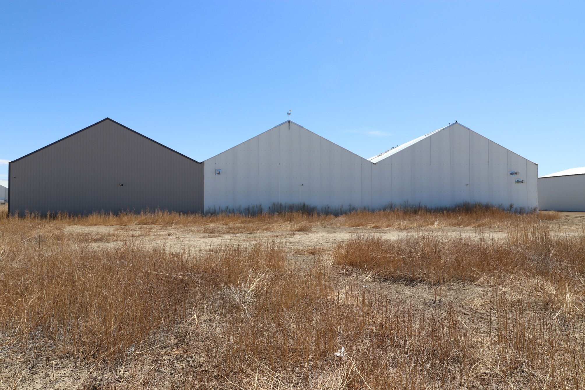 7889 Maverick Ln, Ordway, CO for Sale