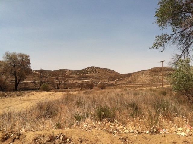 Elizabeth Lake Road & Johnson Rd, Lake Elizabeth, CA for Rent