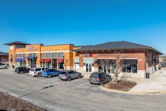 Orland Park, IL Retail - 14225 S 95th St