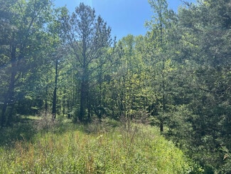 Madison, GA Commercial - 0 Woodkraft rd