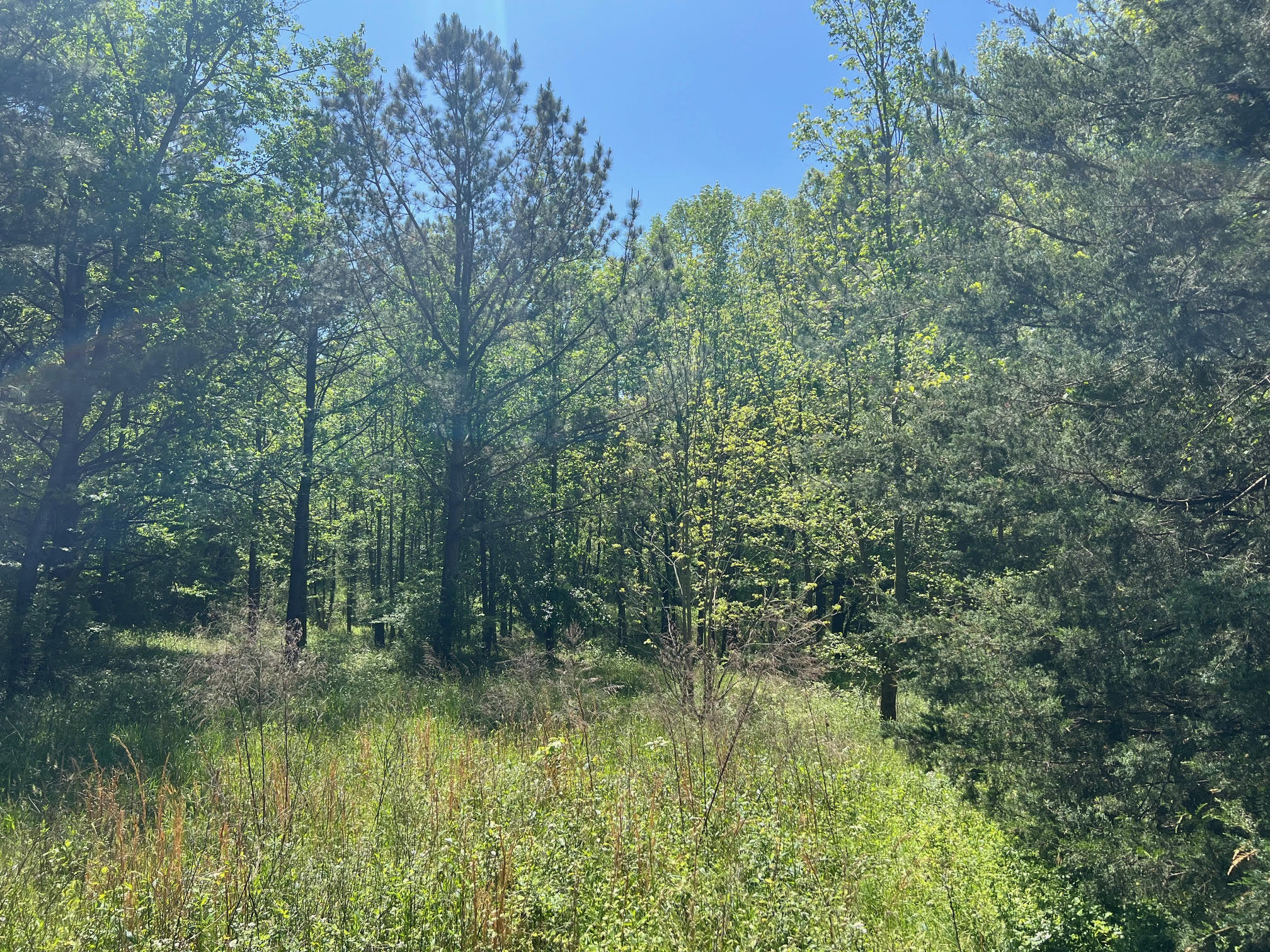 0 Woodkraft rd, Madison, GA for Sale