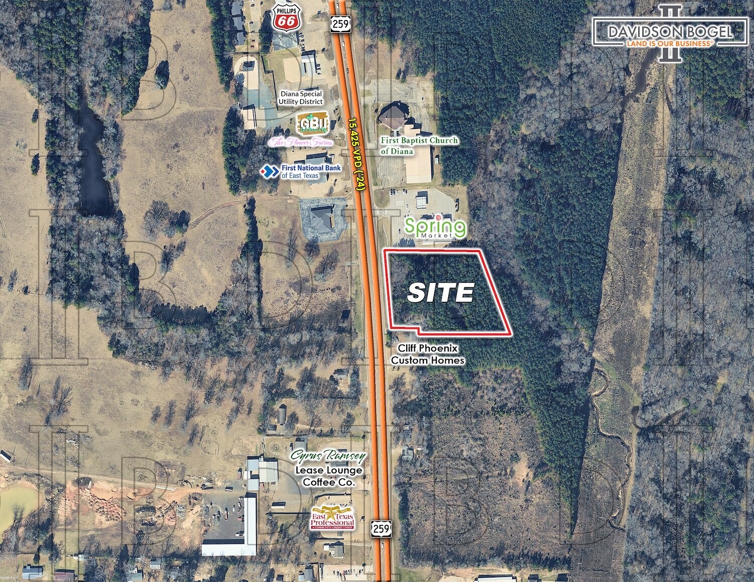 1787 U.S. 259, Diana, TX for Sale