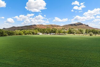 Melba, ID Agricultural - 8240 Butte Rd