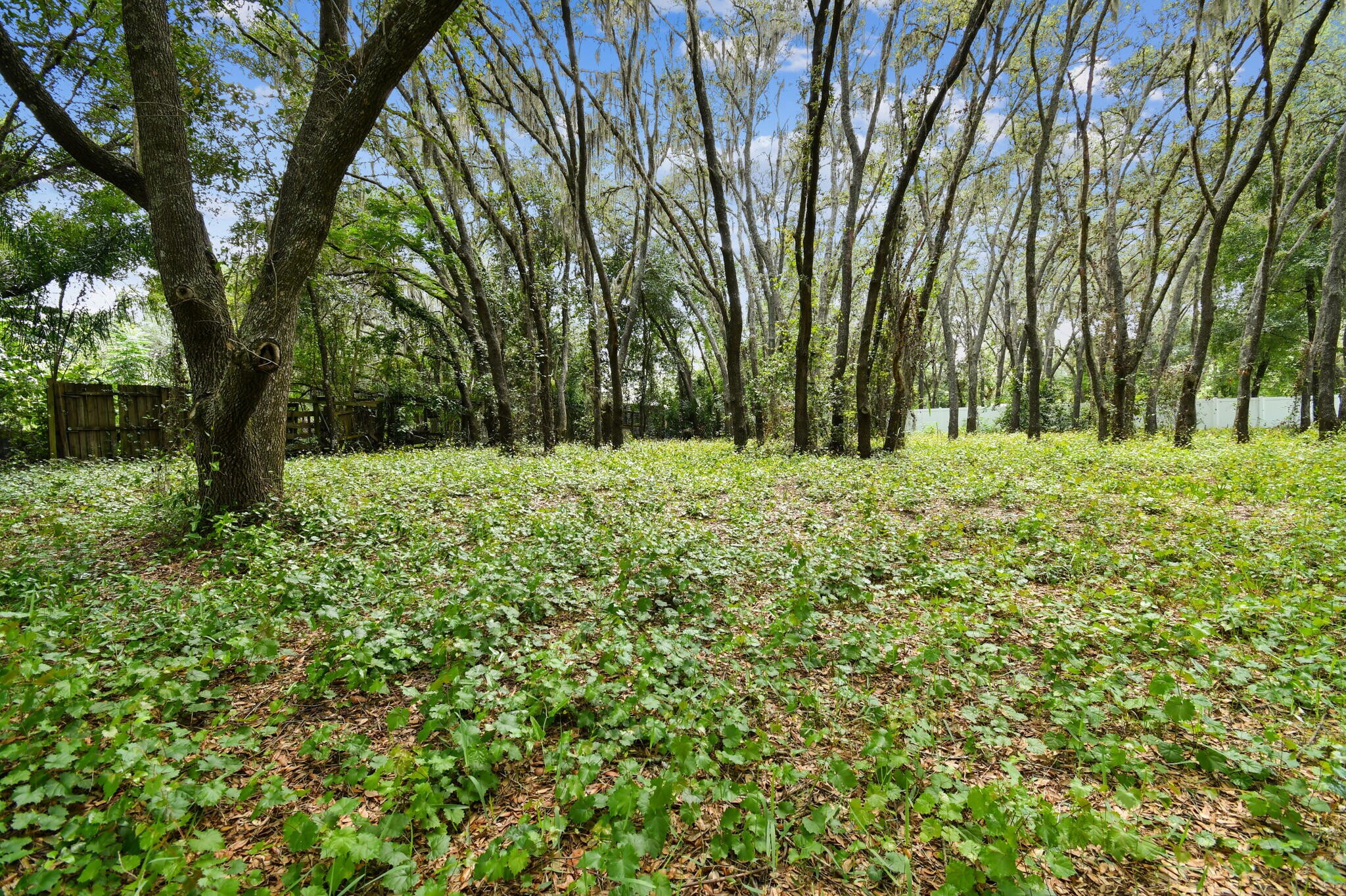 15115 N 20th St Lutz, FL 33549 Land Property for Sale on