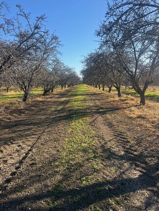 Firebaugh, CA Agricultural Land - 1 American Ave