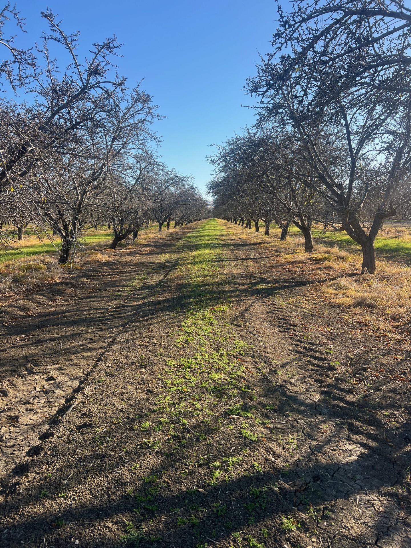 1 American Ave, Firebaugh, CA for Sale