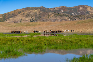 Greenfield, CA Agricultural - 48400 Reliz Canyon Rd