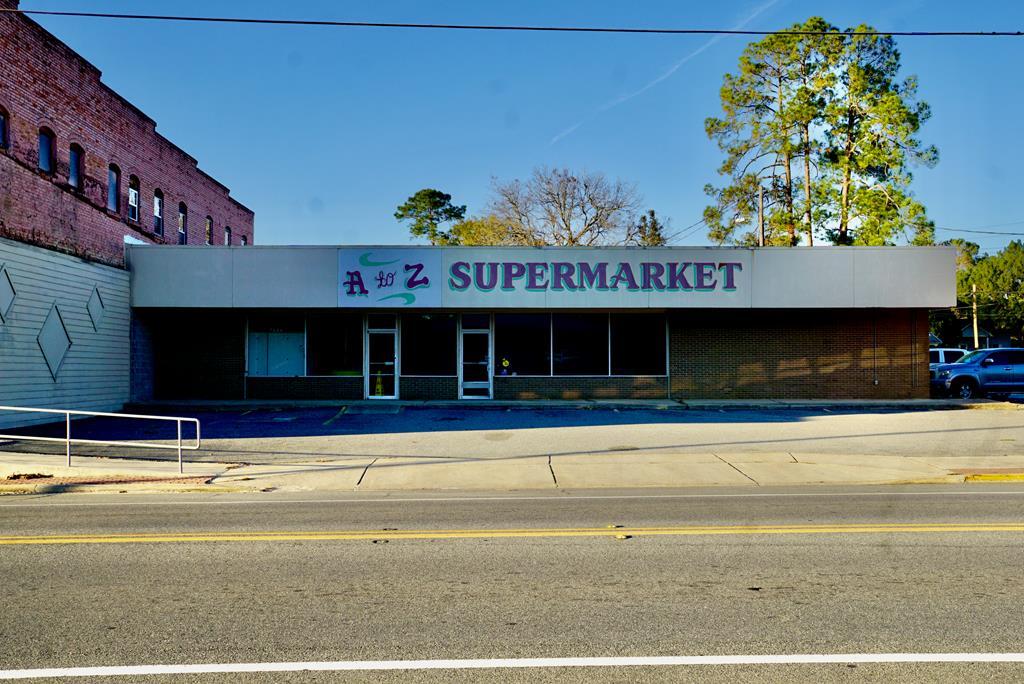 8111 Main St, Ray City, GA for Sale