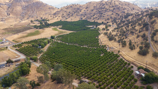 Springville, CA Agricultural Land - Avenue 176