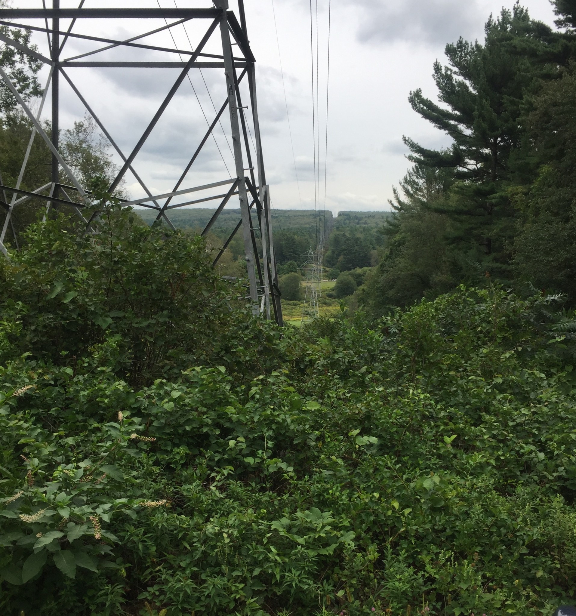234 Wickaboag Valley Rd, West Brookfield, MA for Sale