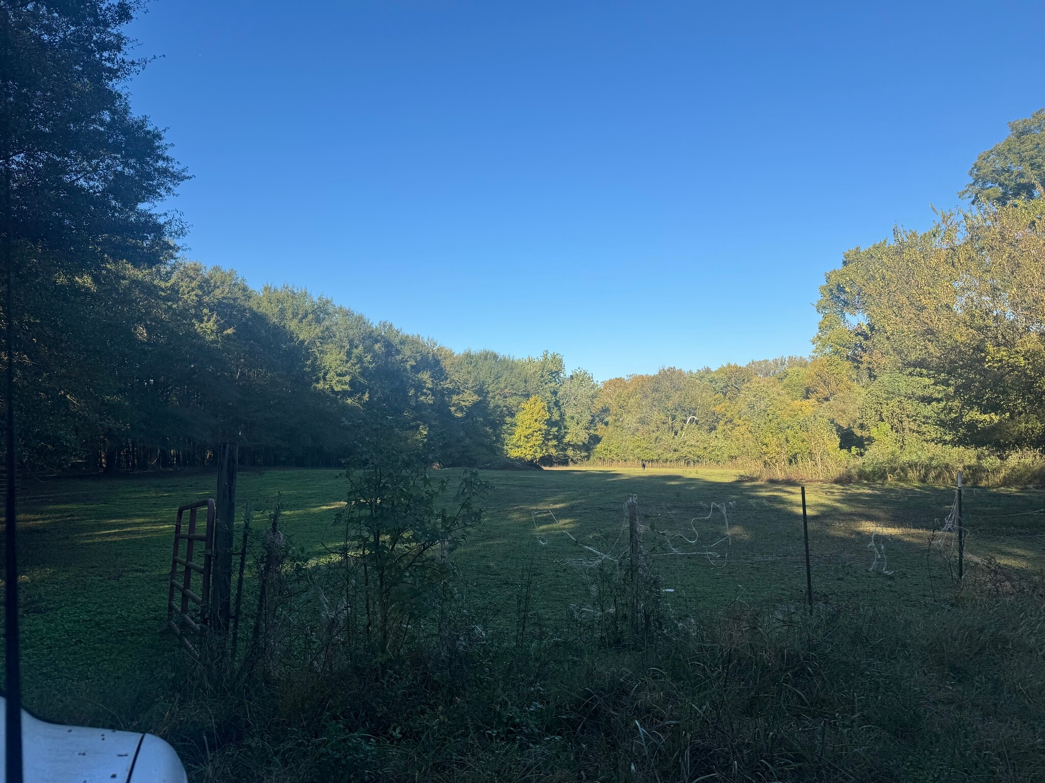 4800 Old Raleigh Millington rd, Memphis, TN for Sale