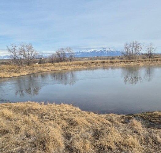 County Road 106 south, Alamosa, CO for Sale