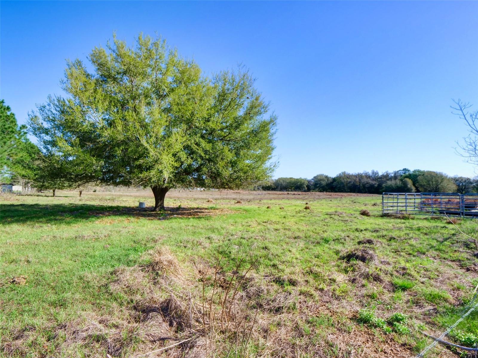 County Road 614A, Bushnell, FL for Sale