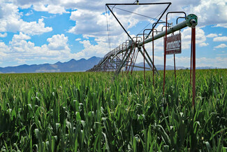 Elfrida, AZ Agricultural - RUCKER CANYON ROAD FARM