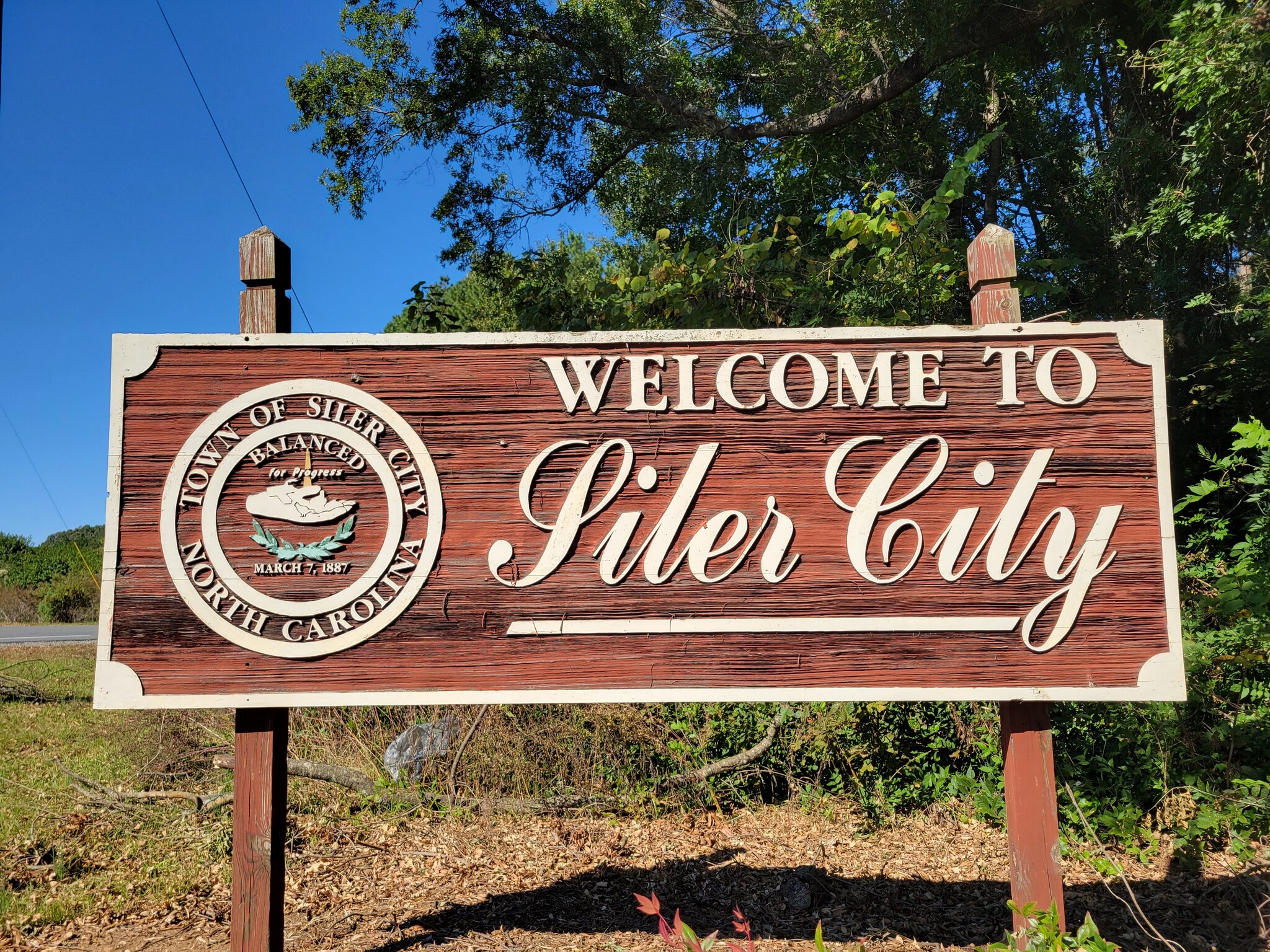 101 E Raleigh St, Siler City, NC for Sale