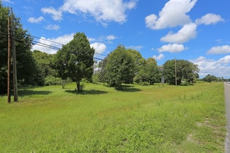 Land O' Lakes, FL Retail - 10251 Land O Lakes Blvd