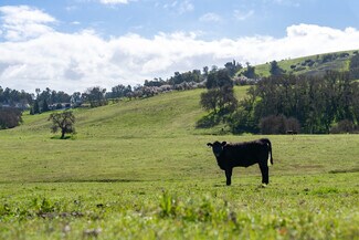 Paso Robles, CA Agricultural Land - 0 Creston Road Paso Robles, CA Agricultural Land - 0 Creston Road