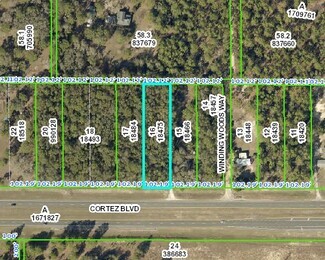 Weeki Wachee, FL Commercial - 0 Cortez Blvd