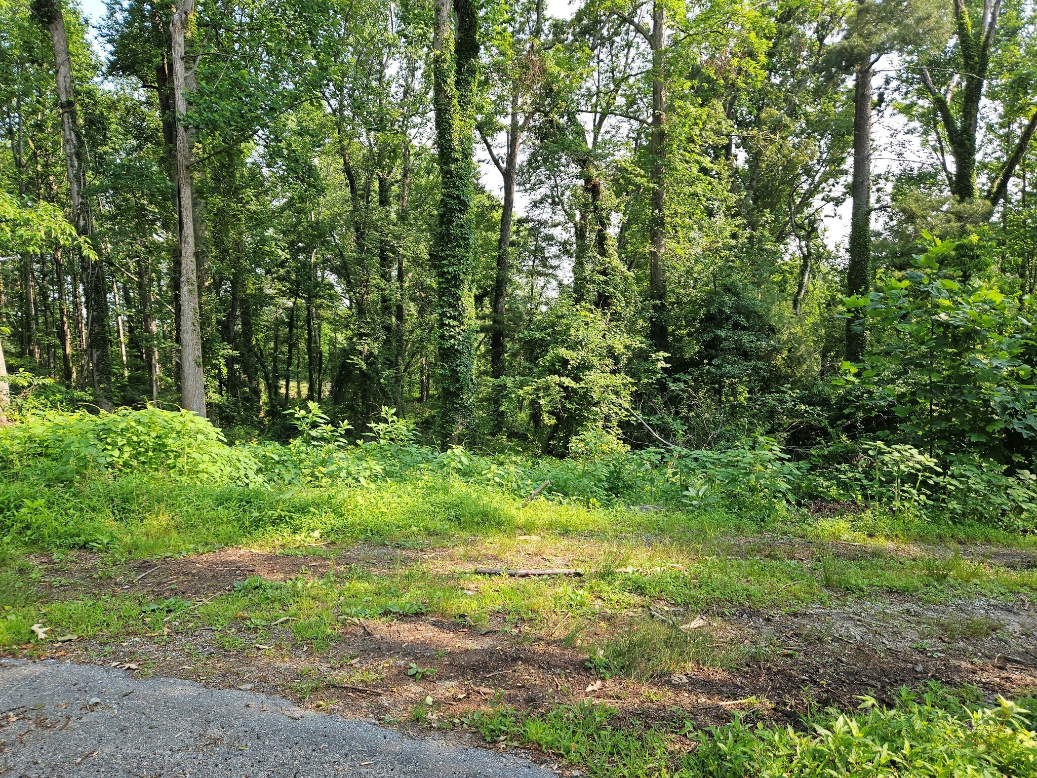 3826 Asheville Hwy, Hendersonville, NC for Sale