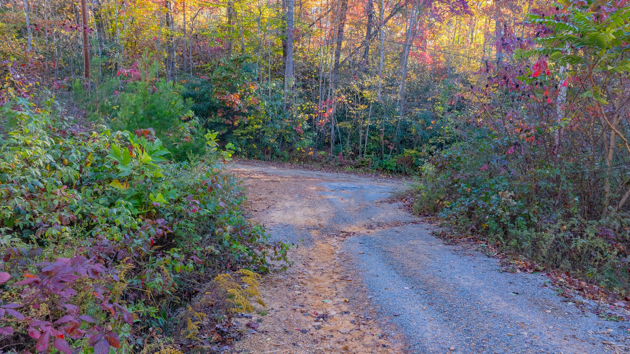 299 Morton Road, Hampton, TN for Sale