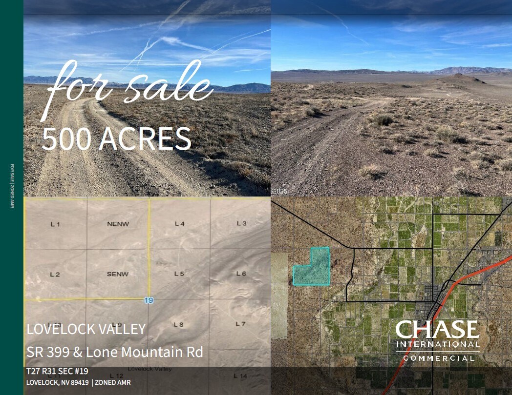 Lovelock Valley SR 399 & Lone Mountain Road, Lovelock, NV for Sale