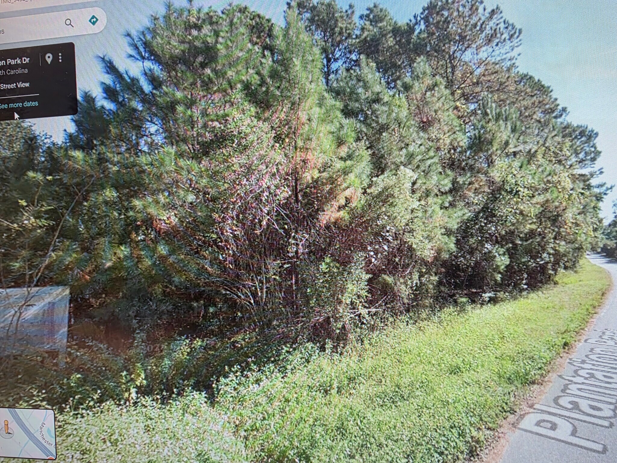 203 Westbury Park Way park, Bluffton, SC for Sale