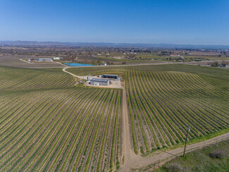 Paso Robles, CA Agricultural - 3925 Buena Vista