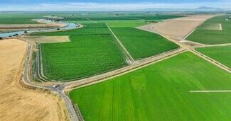 Walnut Grove, CA Agricultural Land - 19701 Tyler Island Rd