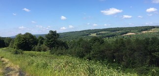 Tremont, PA Industrial Land - 12 S Tremont Rd