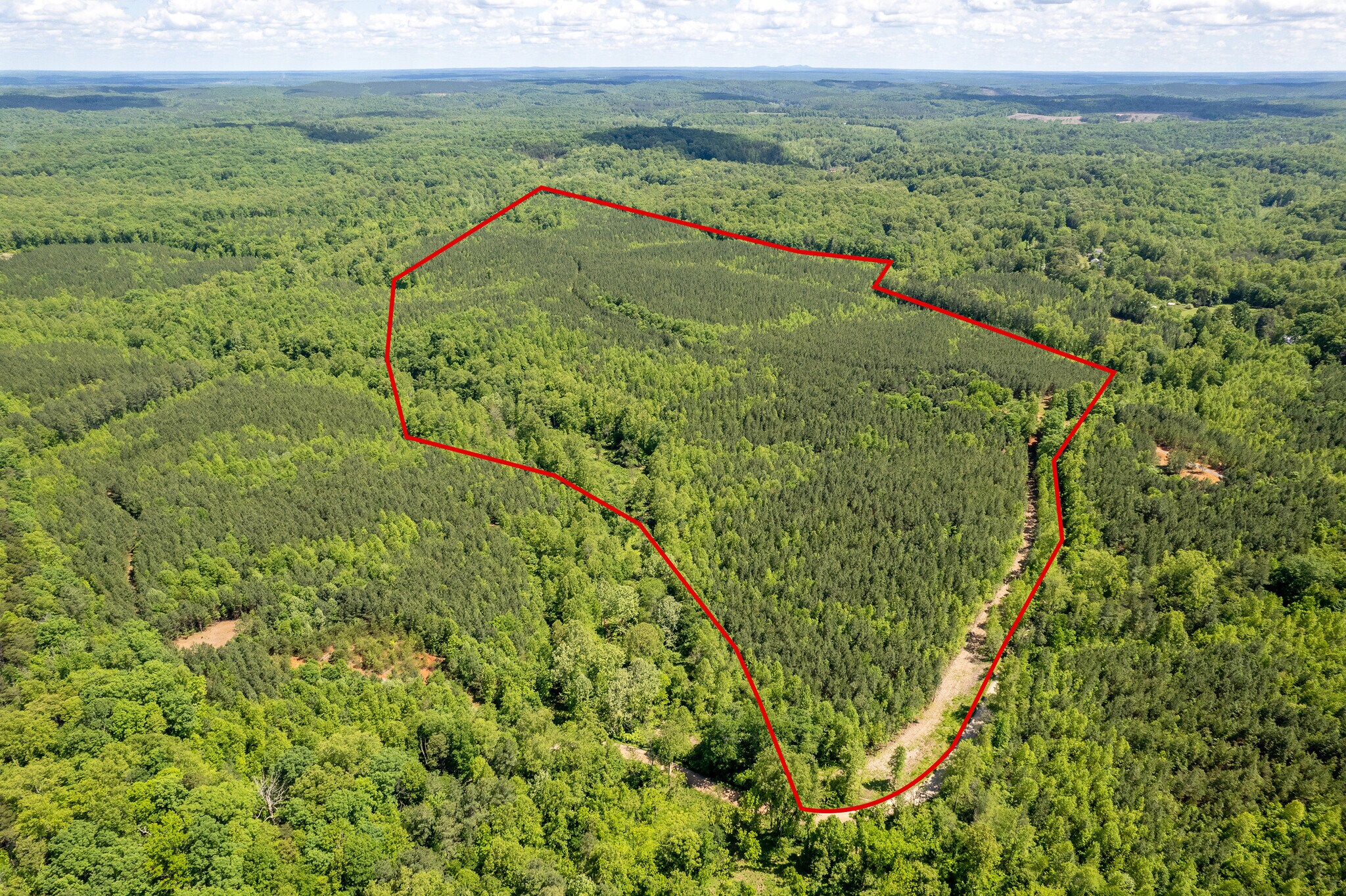 0 Green Creek Road, Schuyler, VA for Sale