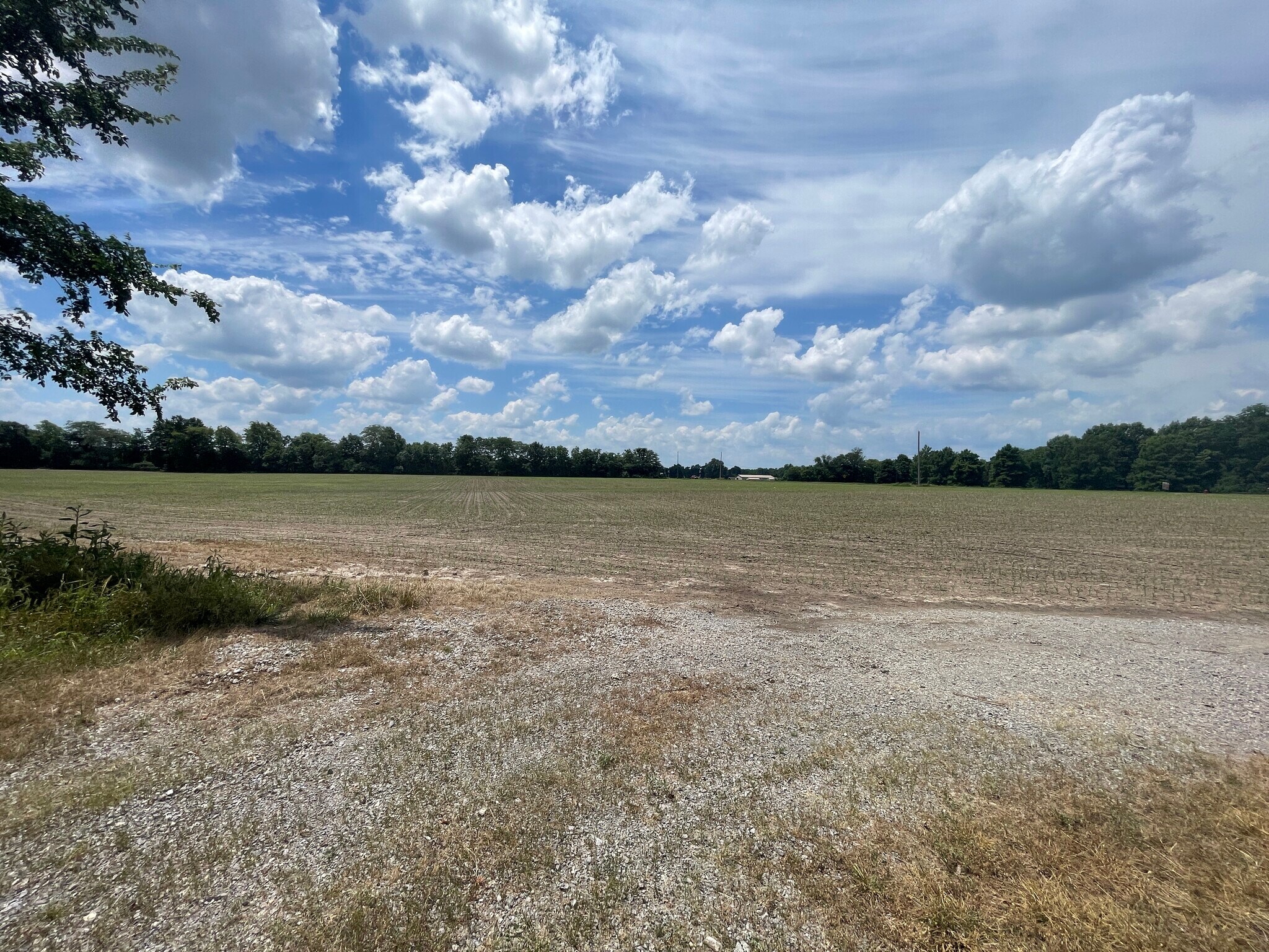 tbd Old Bainbridge Road Rd, Marion, IL for Sale