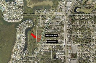 Palm Harbor, FL Residential - 00 Ulelah Ave