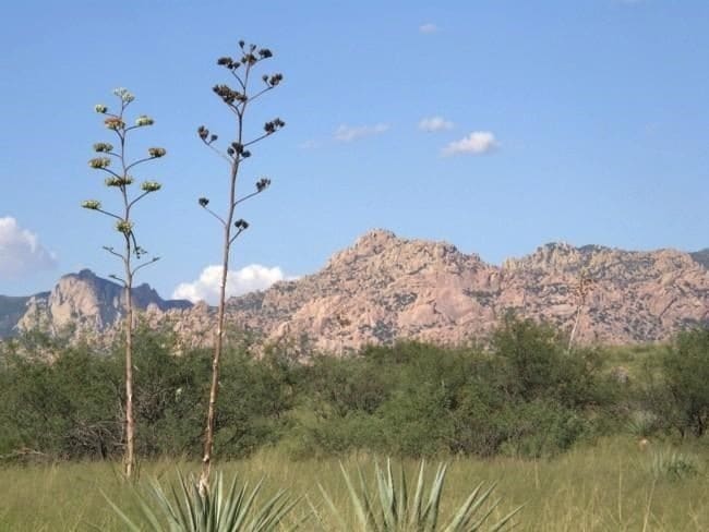E Cochise Trl, Saint David, AZ for Sale