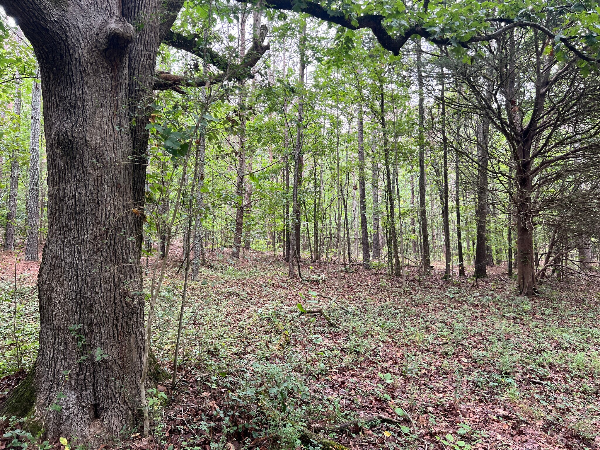 300 Timberwood Rd NW, White, GA for Sale
