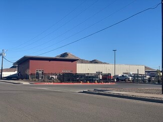 Sunland Park, NM Flex - 1895 Appaloosa Dr