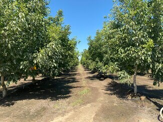 Lindsay, CA Agricultural - Road 180