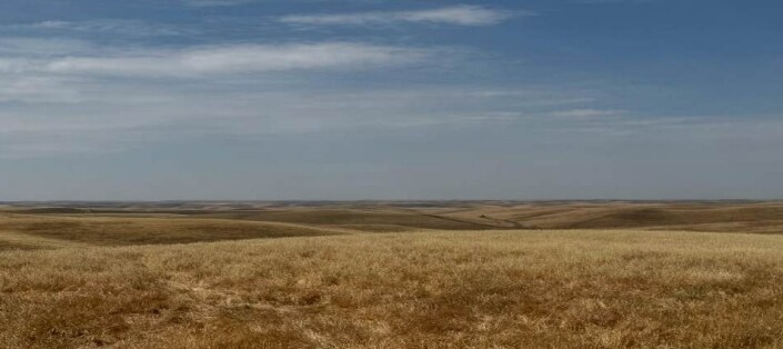 County Line, Delano, CA for Sale
