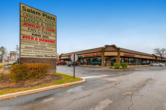 Schaumburg, IL Retail - 1049-1093 N Salem Dr