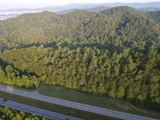 Cherry Log, GA Industrial - N Hwy 515