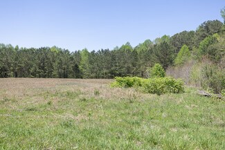 Oakwood, GA Commercial Land - 4253 Mundy Mill Rd Oakwood, GA Commercial Land - 4253 Mundy Mill Rd