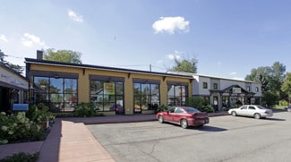Three Oaks, MI Storefront - 208 S Elm St