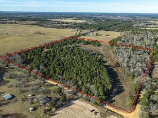 Grapeland, TX Residential - NW Corner CR 1890 & CR 1895