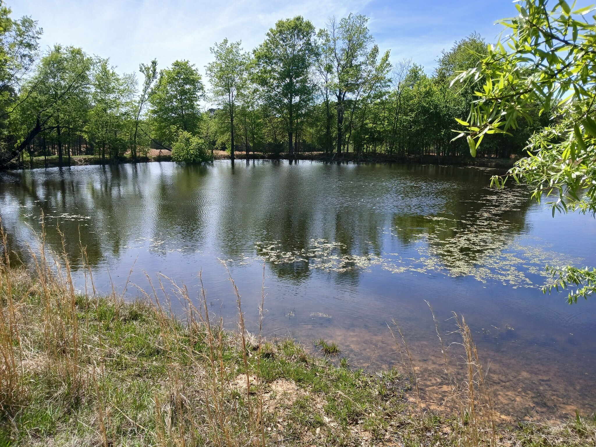 414000 E 1920 Rd, Antlers, OK for Sale