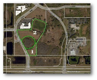Trinity, FL Commercial Land - Welbilt Blvd Trinity, FL Commercial Land - Welbilt Blvd