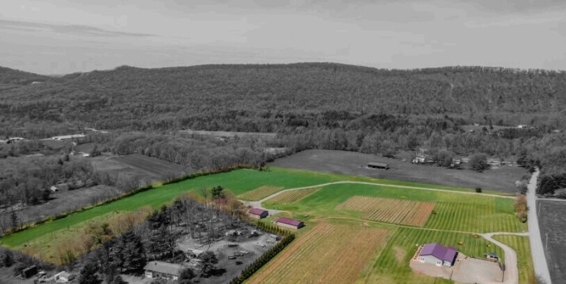 596 Harman Rd, Halifax, PA for Sale