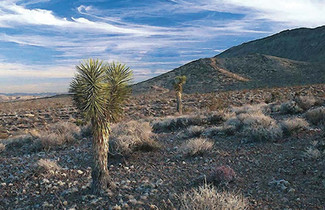 Cave Creek, AZ Residential - E Black Mountain Pky