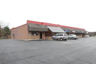 Paw Paw, MI Retail - 209-221 W Michigan Ave